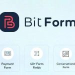 Bit Form Pro