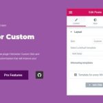 Elementor Custom Skin Pro