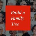 Lineago Genealogy WordPress Theme