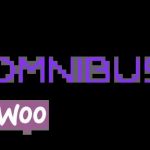 WPDESK Omnibus